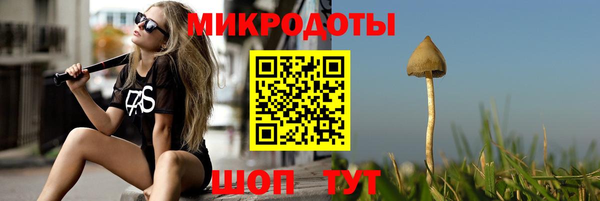 Псилоцибиновые грибы мицелий Урай